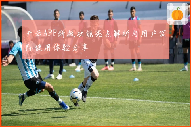 开云APP新版功能亮点解析与用户实际使用体验分享