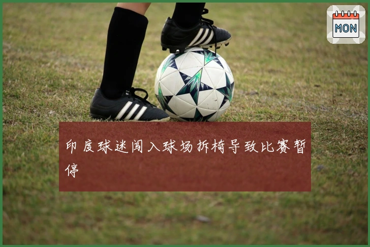 印度球迷闯入球场拆椅导致比赛暂停